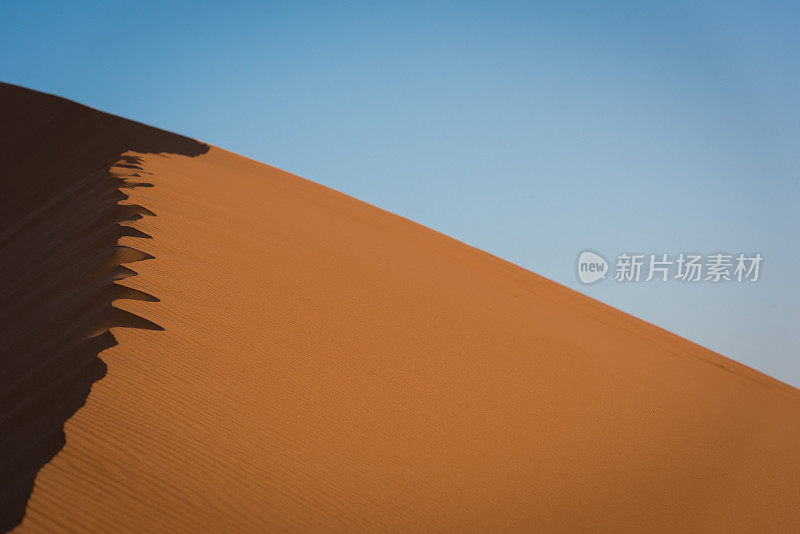 Erg Chebbi沙丘在摩洛哥撒哈拉沙漠日出